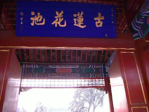 莲花2.jpg