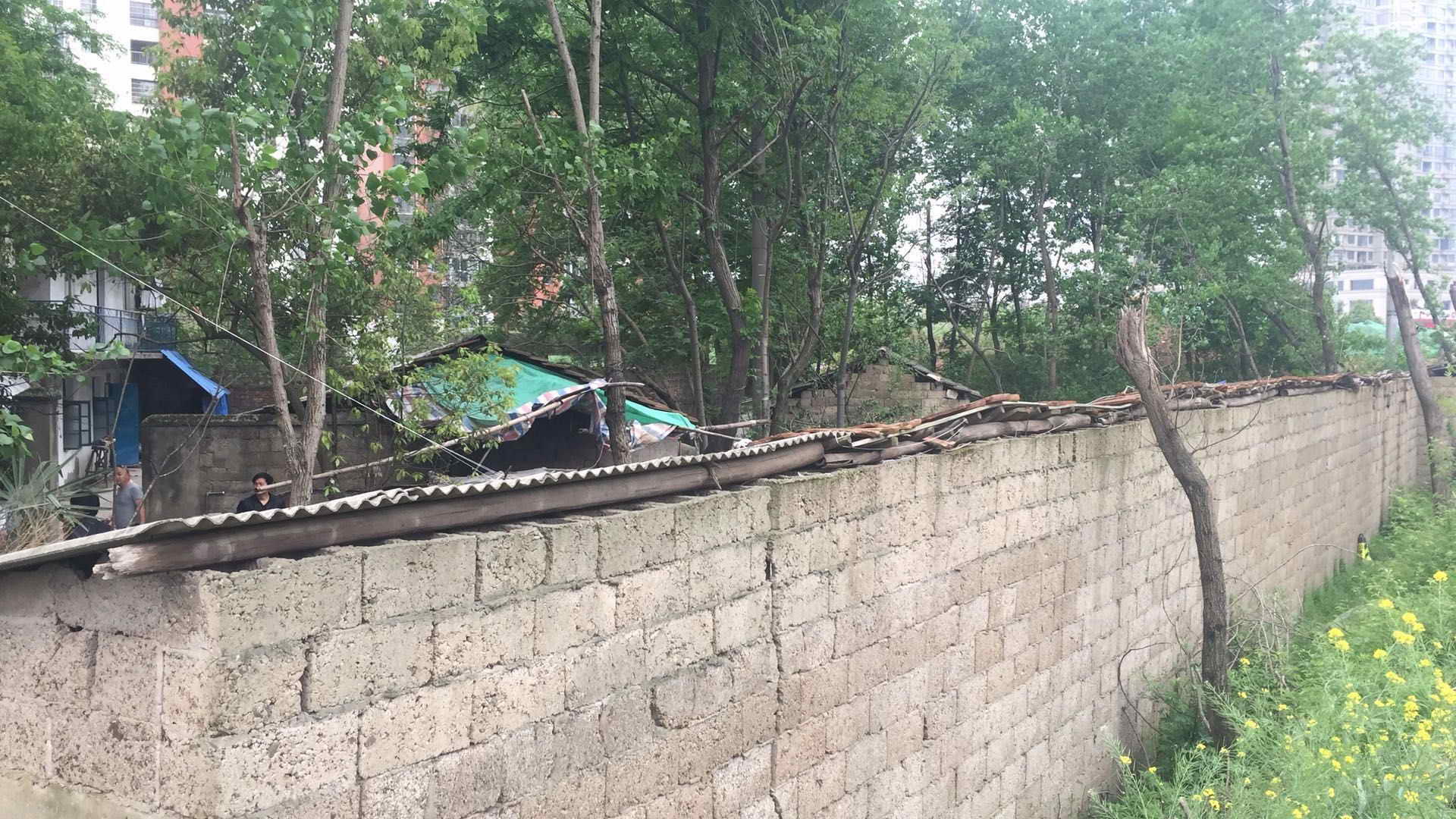 拆迁前猪厂照片1.jpg
